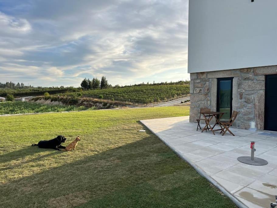 Quinta Do Carregal Mangualde Exterior foto